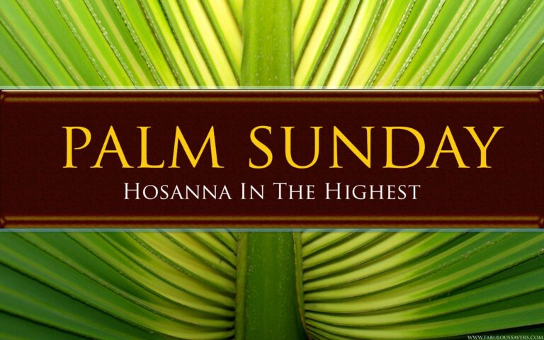 Palm Sunday_A+
